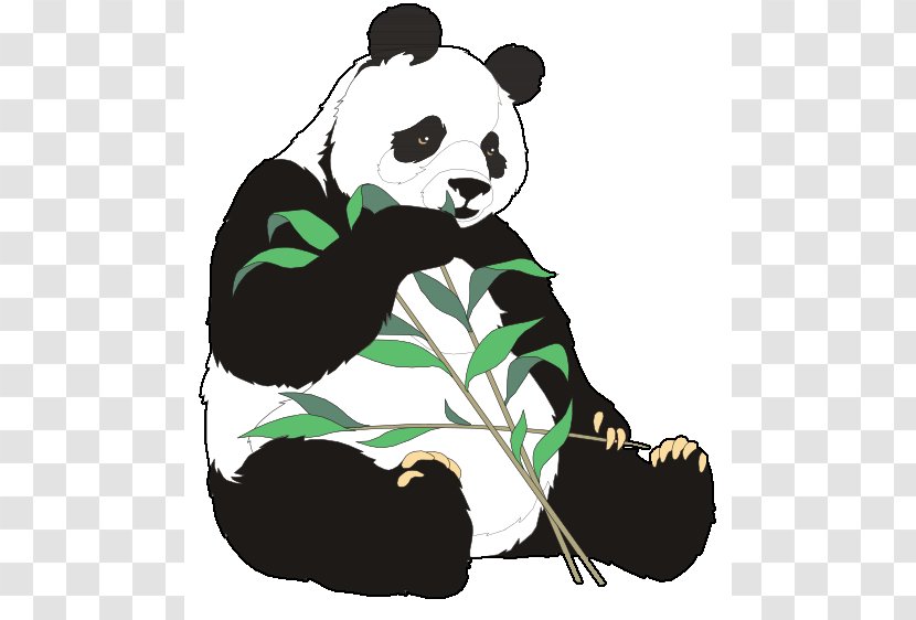 Giant Panda Bear Red Clip Art - Stock Photography - Eating Cliparts Transparent PNG