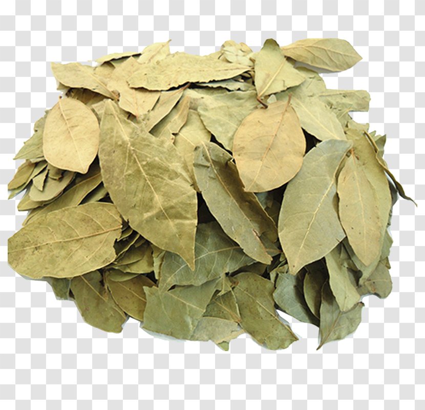 Bay Leaf Flavor Condiment Food Cooking - Herbs Transparent PNG