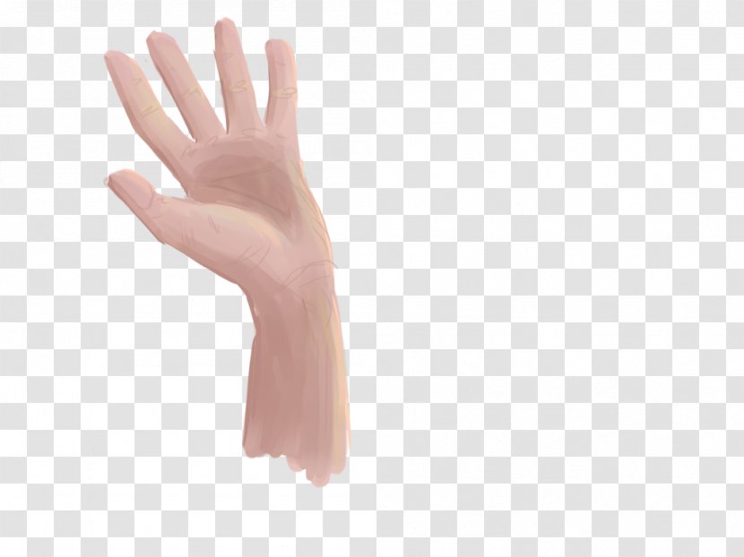Thumb Hand Model Glove Safety Transparent PNG