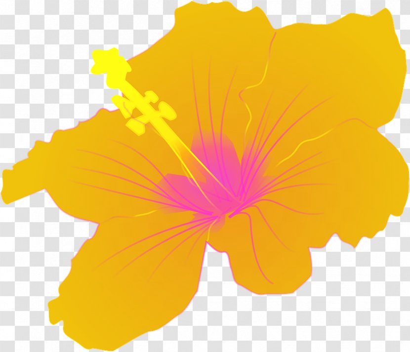 Hawaiian Hibiscus Shoeblackplant Clip Art - Flower - Flowering Plant Transparent PNG