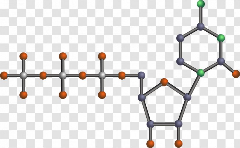 Adenosine Triphosphate Chemistry Molecule Clip Art - Molecular Biology - Longevity Transparent PNG