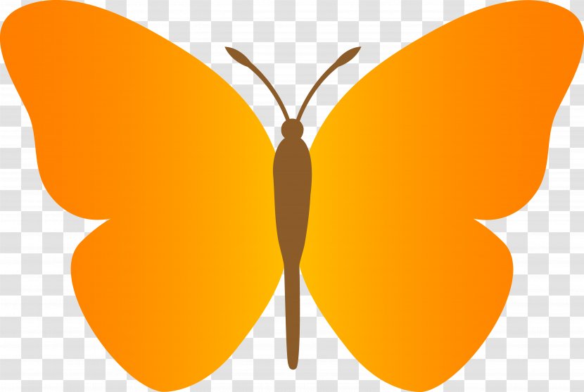 Butterfly Clip Art - Product Design Transparent PNG