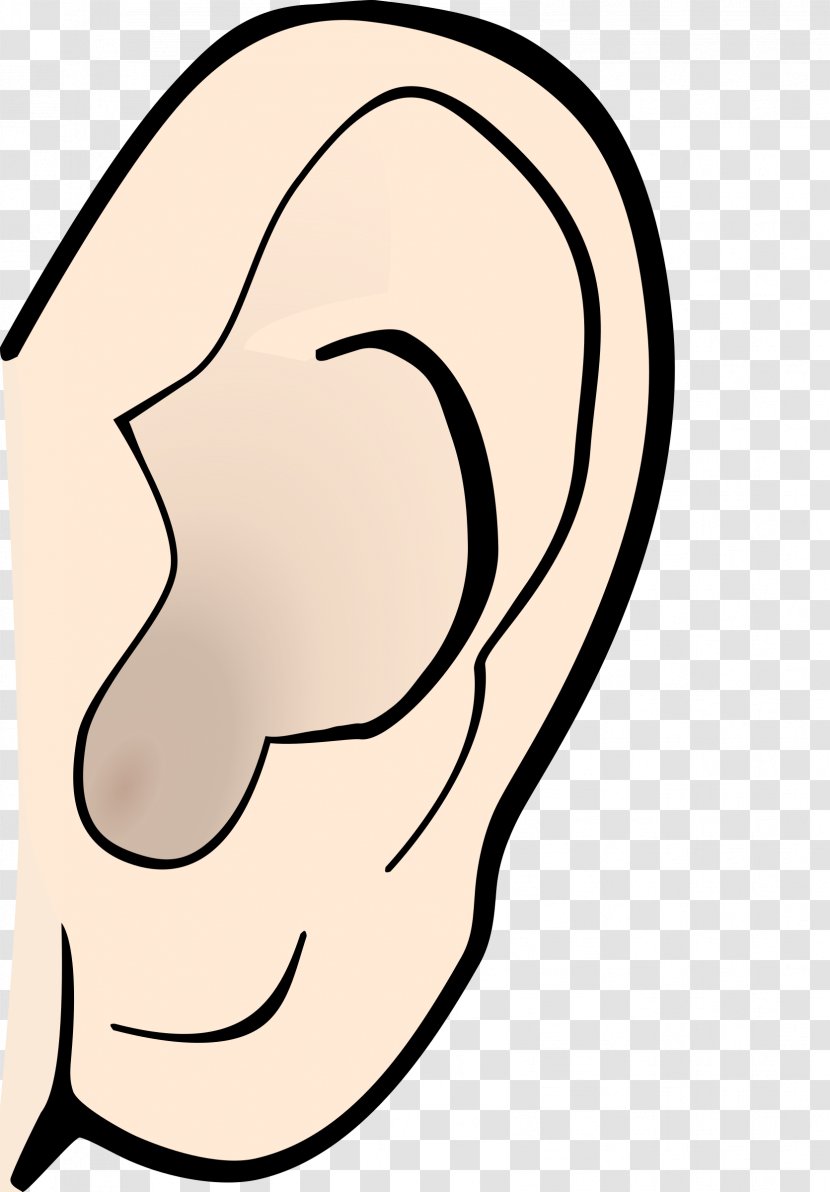Ear Anatomy Hearing Pointy Ears Clip Art - Tree - Noise Cliparts Transparent PNG