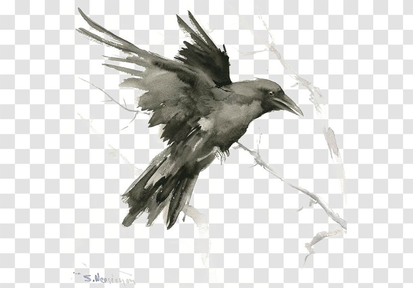 Common Raven Bird Tattoo Drawing Art - Crow Like Transparent PNG