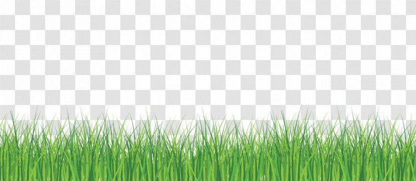 Ecologic Solutions Lawn Carpet Room - Furniture - Nature Drawing Transparent PNG