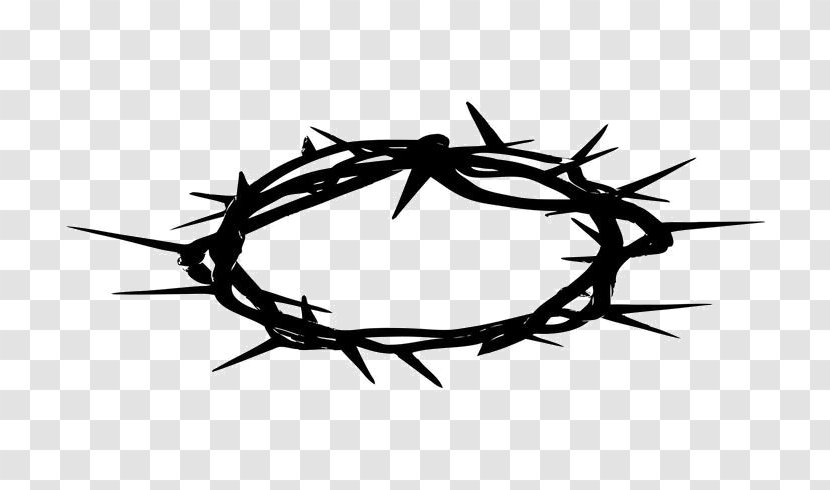 Crown Of Thorns Christianity Thorns, Spines, And Prickles Clip Art - Vecteezy Transparent PNG