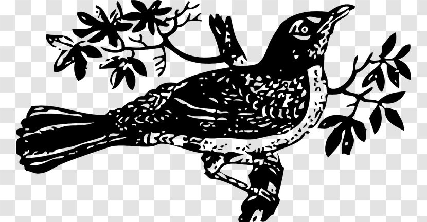 To Kill A Mockingbird Clip Art - Galliformes - Branch Transparent PNG