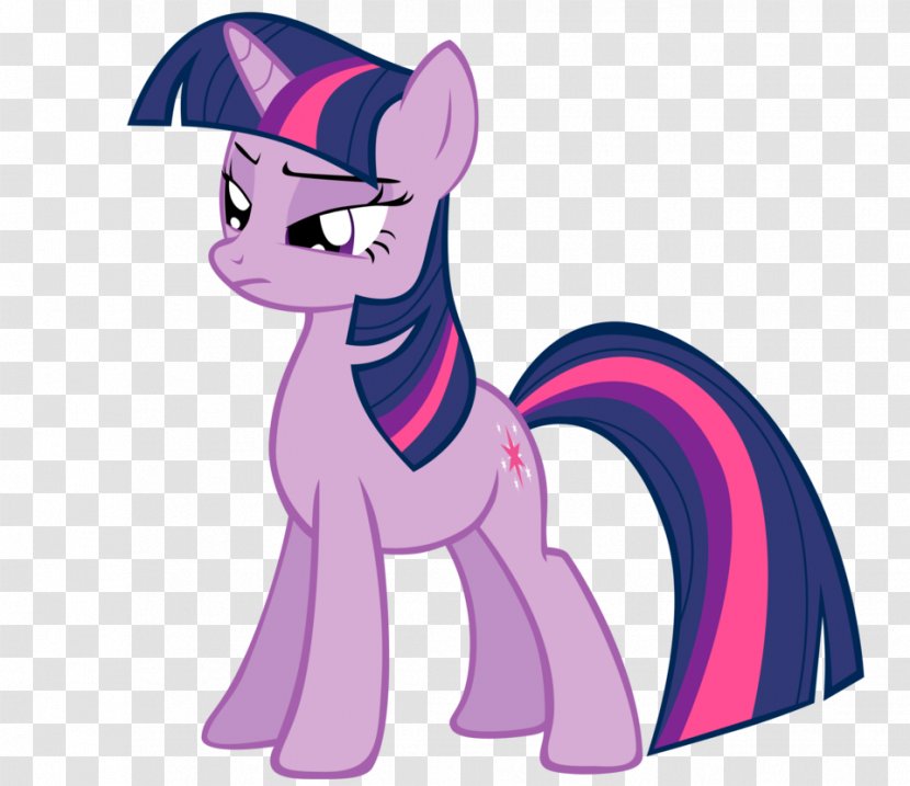 Twilight Sparkle Rainbow Dash Pinkie Pie Rarity Pony - Vertebrate Transparent PNG