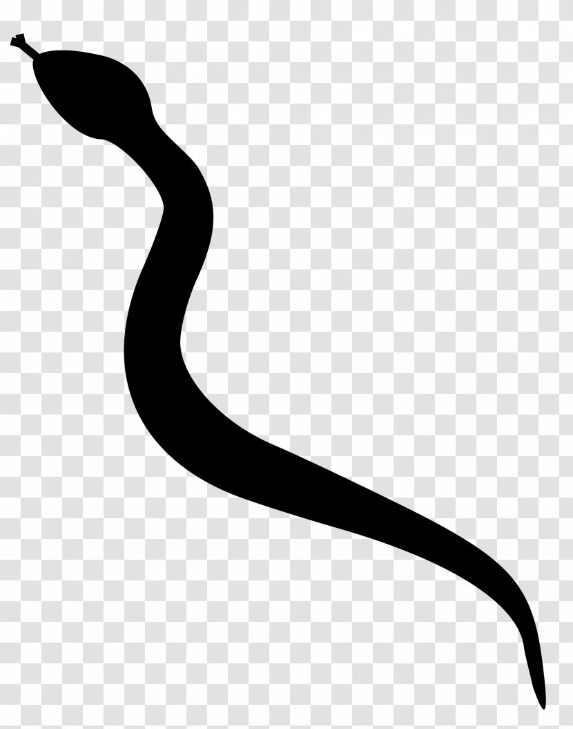 Rattlesnake Silhouette Clip Art - Artwork - Snakes Transparent PNG