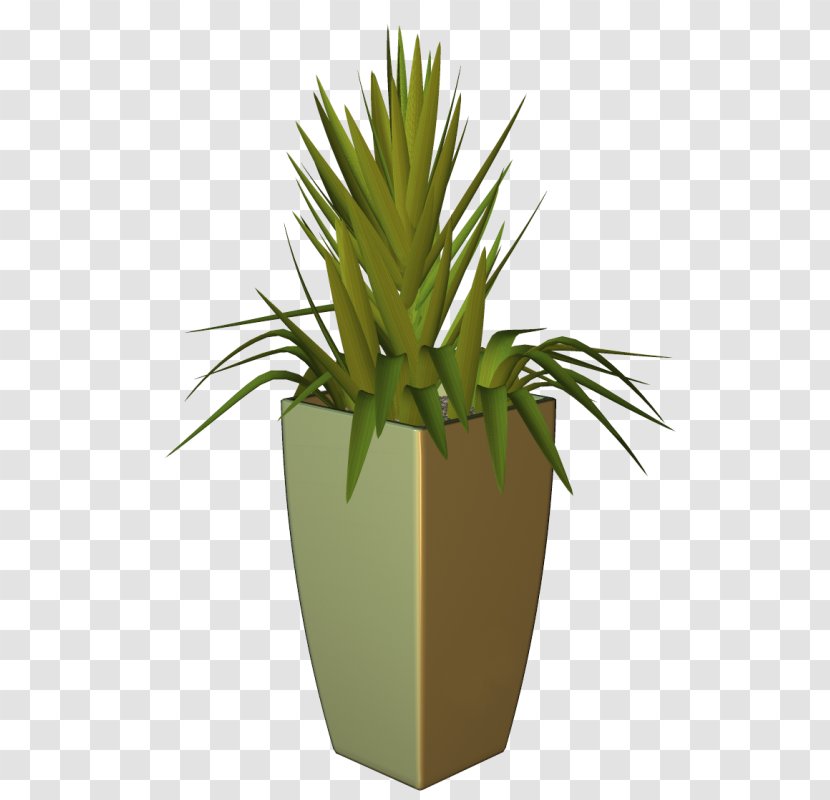 Treelet Houseplant Flowerpot Agave - Plant Transparent PNG