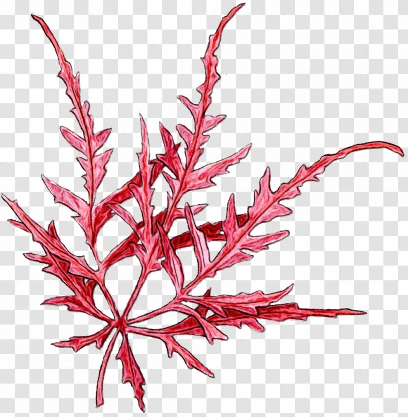 Watercolor Flower Background - Plant Stem - Red Transparent PNG
