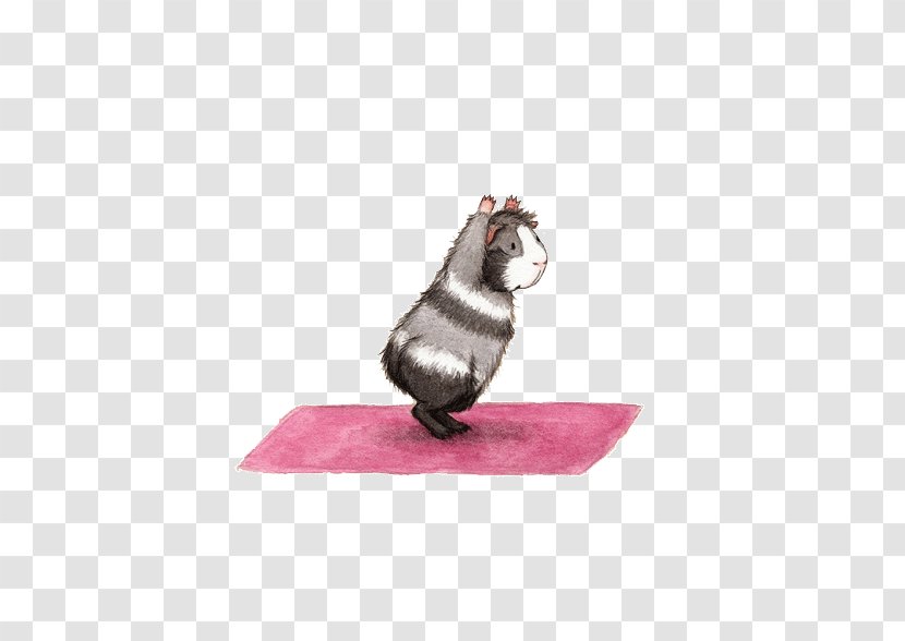 Yoga Mat Physical Exercise Asana & Nidra - Namaste - Guinea Pig Doing Transparent PNG