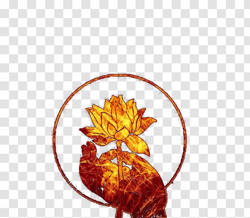 Buddhas Hand Bergamot Orange Nelumbo Nucifera - Plant - Lotus Transparent PNG