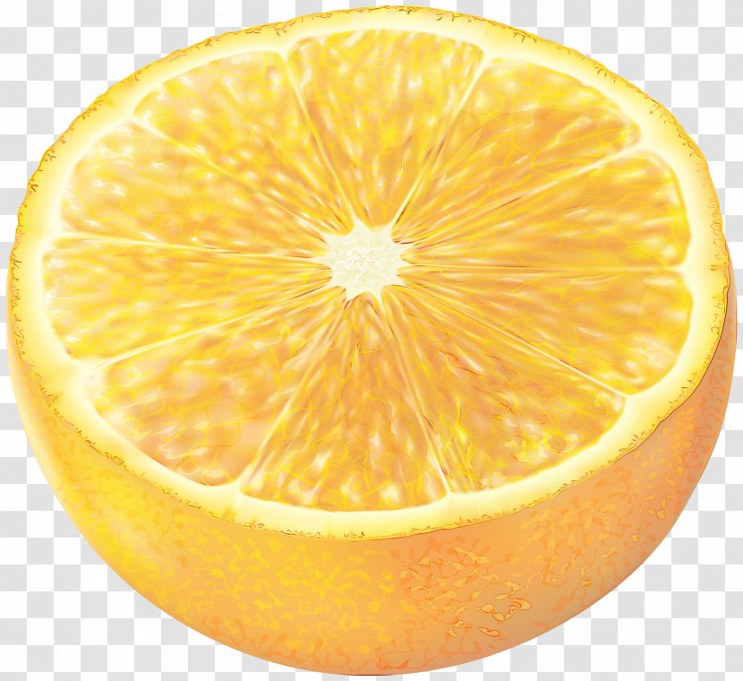 Lemon Cartoon - Plant - Kumquat Tangelo Transparent PNG