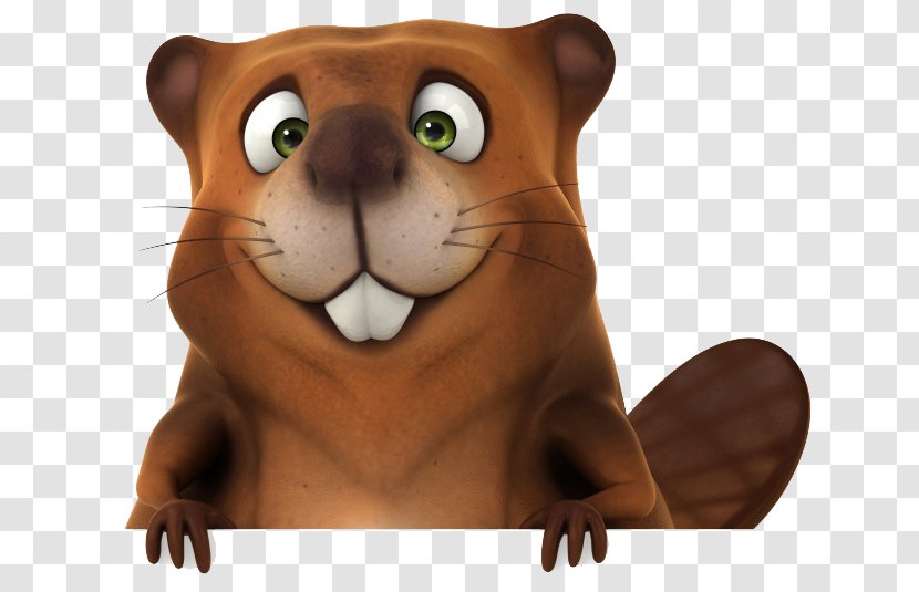 Beaver Stock Photography Royalty-free Icon - Tiger - Brown Squirrel Transparent PNG