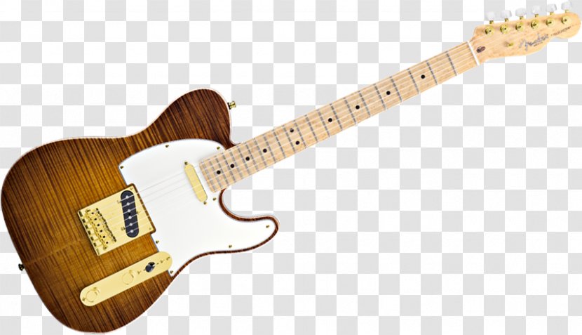 Fender Telecaster Thinline Guitar Fingerboard Musical Instruments Corporation Transparent PNG