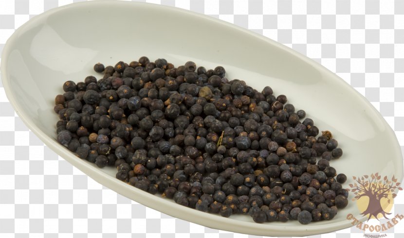 Ekofabrika Staroslav Juniper Cubeb Novosibirsk - Juniperus Transparent PNG