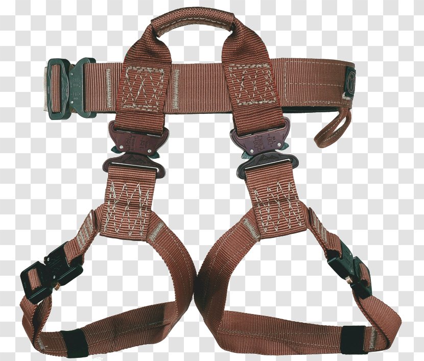 Climbing Harnesses Buckle Abseiling Belt D-ring - Dring - Plating Transparent PNG