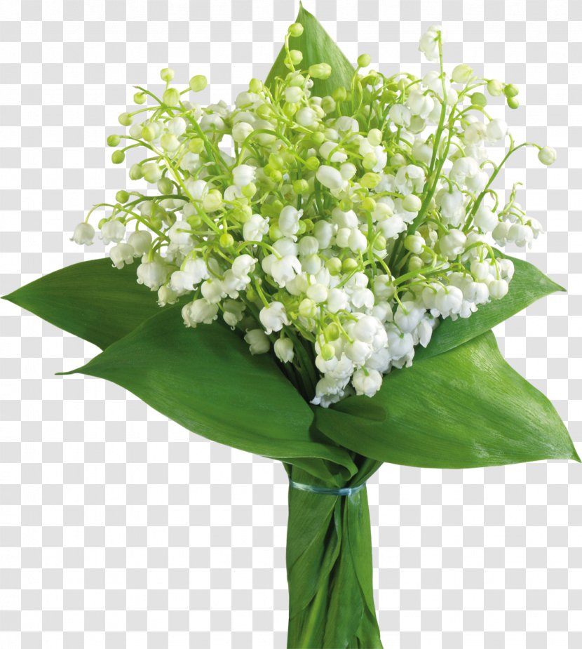 May 1 Lily Of The Valley International Workers' Day Labour - Floristry Transparent PNG