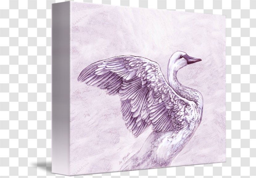 Duck Imagekind Poster Art Goose - Canvas Transparent PNG