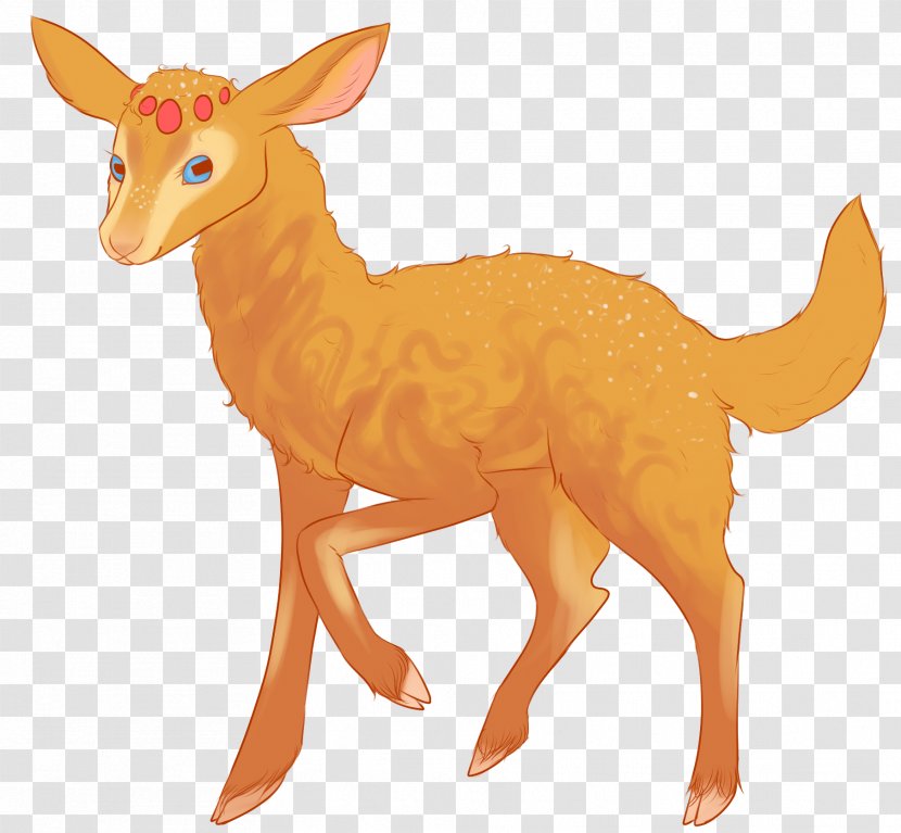 Dog Deer Macropods Mammal Canidae - Tail Transparent PNG