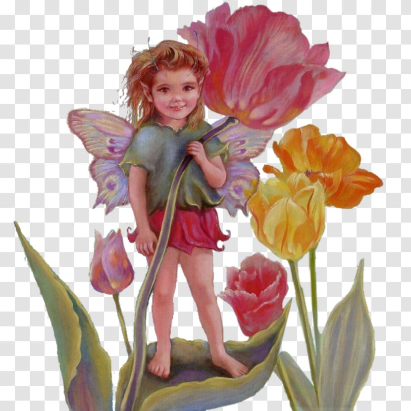 Fairy Animation Elf - Supernatural Creature Transparent PNG