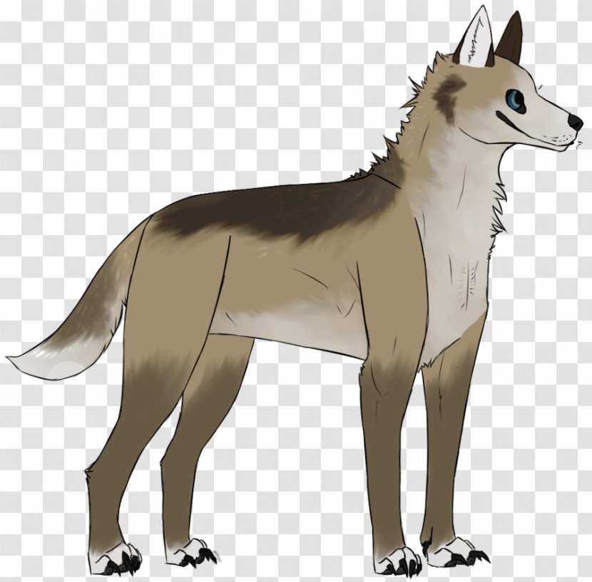 Wolfdog Red Fox Dog Breed Jackal - Tail Transparent PNG