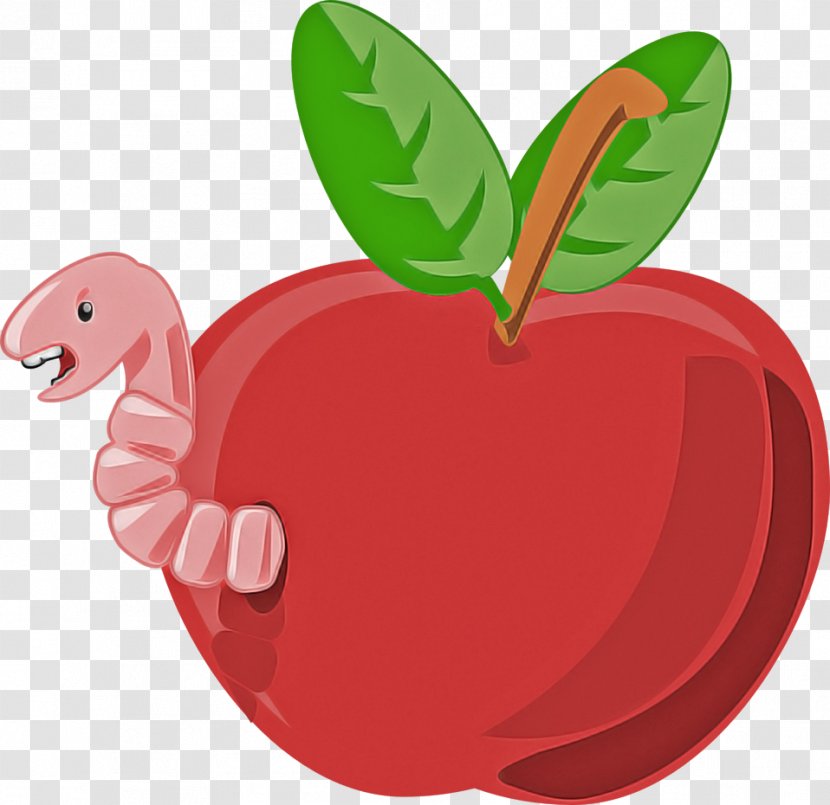 Leaf Apple Fruit Red Plant - Food Tree Transparent PNG