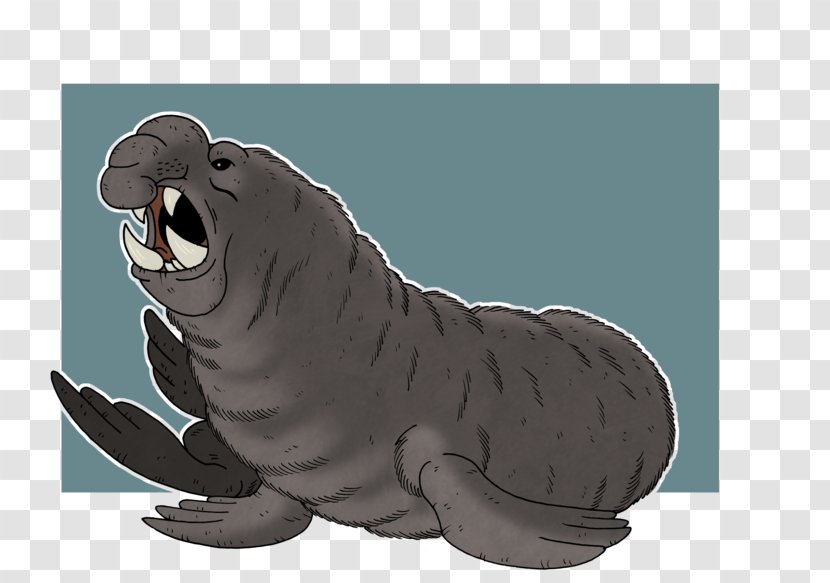 Sea Lion Earless Seal Walrus Art Leopard - Carnivoran Transparent PNG