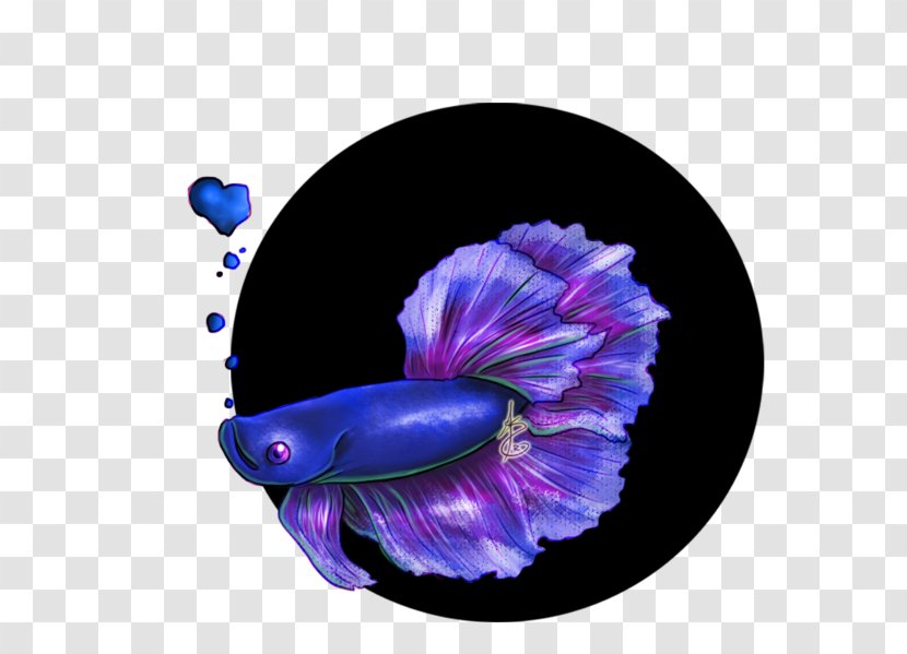 Siamese Fighting Fish Blue DeviantArt - Flower - Betta Transparent PNG