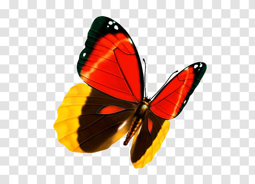 Butterfly Q-Constellation Lianliankan - Moths And Butterflies Transparent PNG