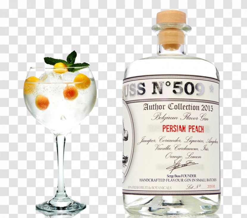 Liqueur Gin And Tonic Water Rectified Spirit - Distillation - Peach Drink Transparent PNG