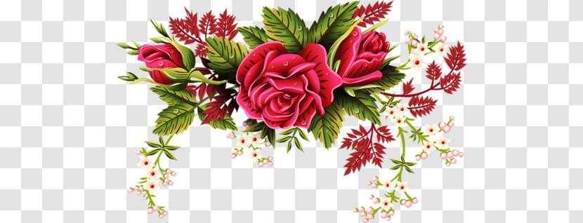 Rose Stock Photography Ornament - Carnation Transparent PNG