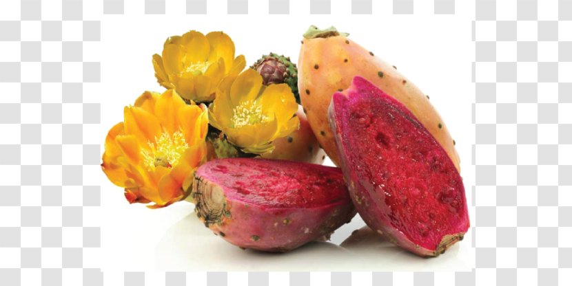 Pitaya Barbary Fig Cactaceae Nopal Food - Opuntia Ficus Transparent PNG