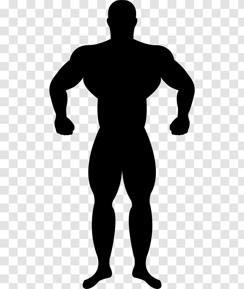 Muscle Silhouette Bodybuilding - Shoulder Transparent PNG