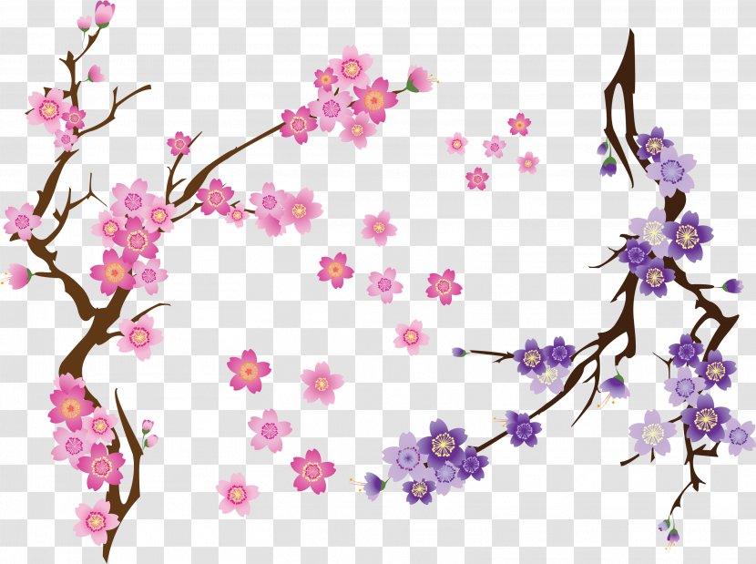 Cherry Blossom Clip Art Drawing - Borders And Frames Transparent PNG