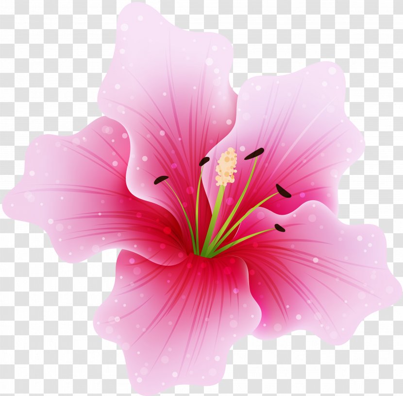 Pink Flowers Clip Art - Floral Design - Flower Drawing Transparent PNG