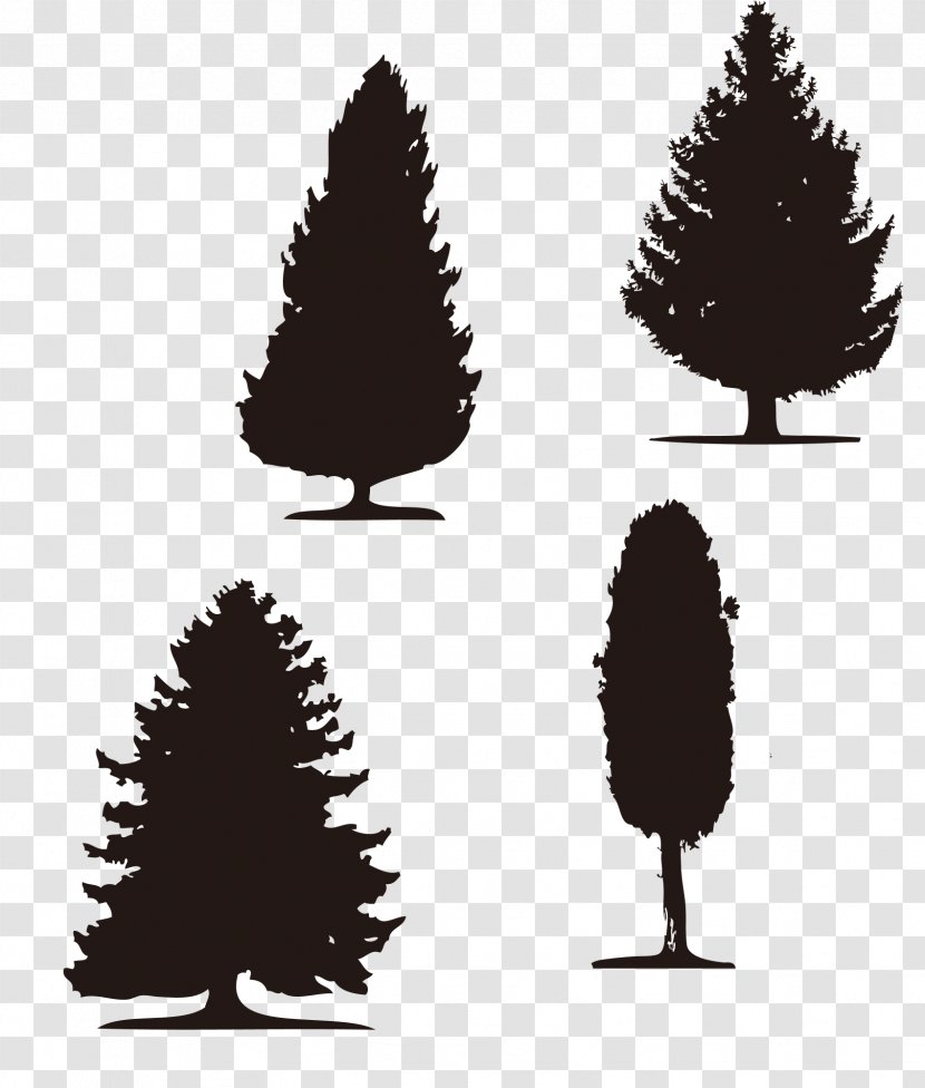 Silhouette Tree Computer File - Pine Family Transparent PNG