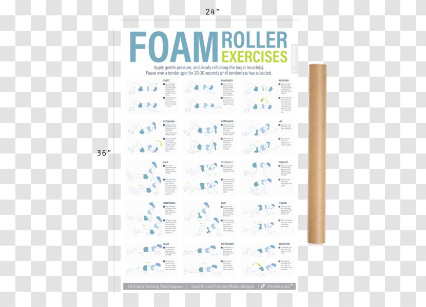 Fascia Training Exercise Balls Stretching Human Back - Text - Fitness Posters Transparent PNG