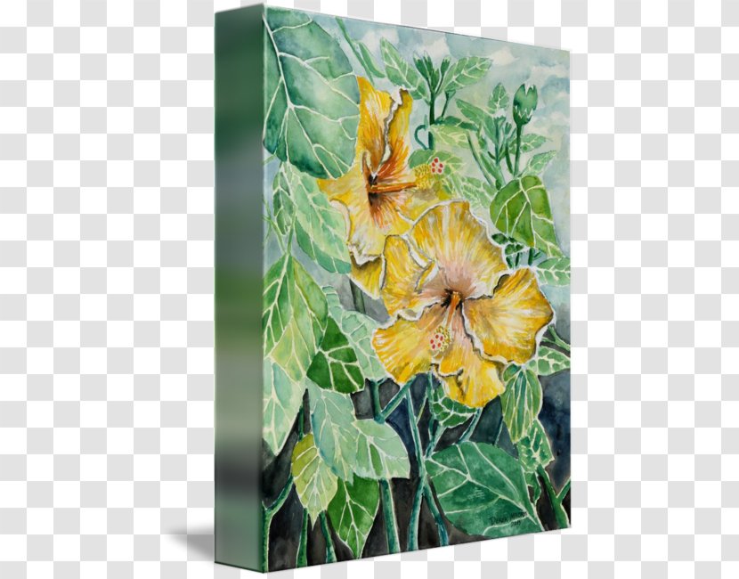 Flowering Plant Watercolor Painting Canvas Gallery Wrap - Hibiscus Transparent PNG