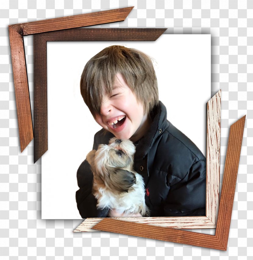 Puppy Dog Breed Picture Frames - Wish - Preservation Transparent PNG