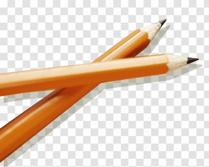 Angle Orange S.A. Anonymity - Office Supplies - Wood Transparent PNG