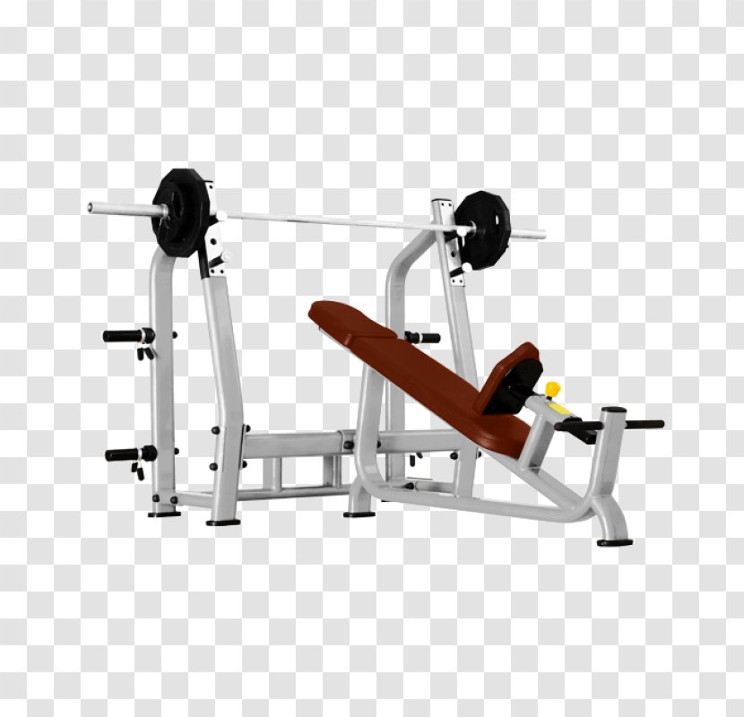 Fitness Centre Bench Dumbbell Price Product - Avitoru Transparent PNG
