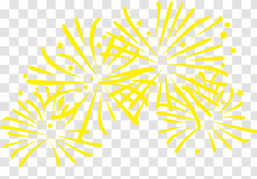 Fireworks Rotary Club Of Edmonton New Year's Day Lunar Year - 2018 - Pol Transparent PNG