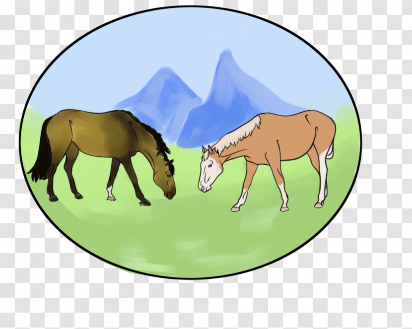 Mule Mustang Foal Mare Colt - Horse Transparent PNG