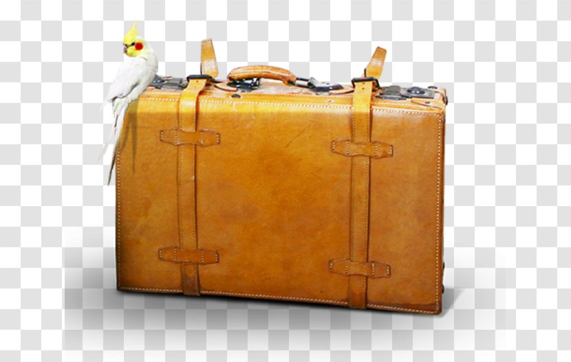 Suitcase Travel Baggage - Brand Transparent PNG