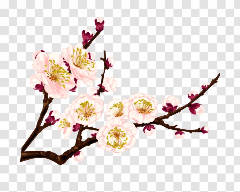 Clip Art Vector Graphics Image Desktop Wallpaper - Cut Flowers - Flower Transparent PNG