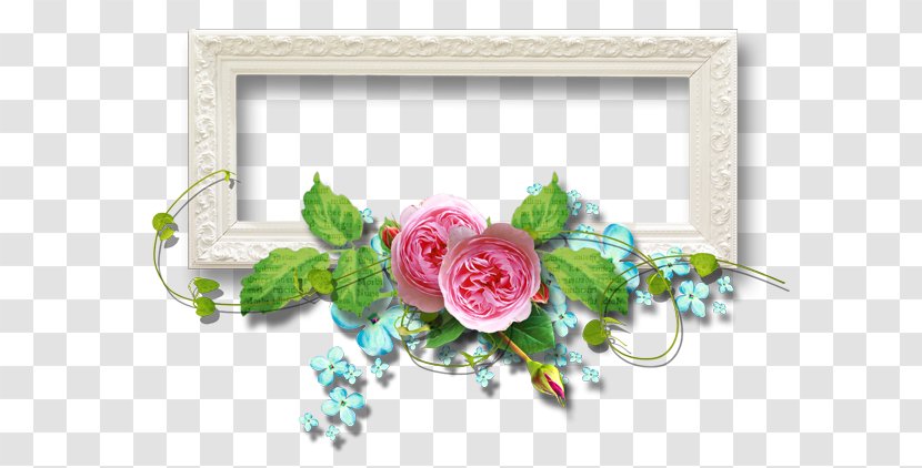 Rose Picture Frames Tendresse Transparent PNG