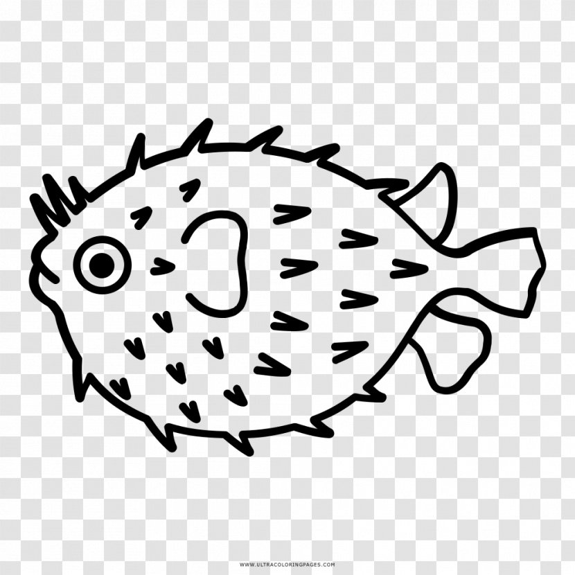 Pufferfish Valentine's Day Drawing - Area Transparent PNG