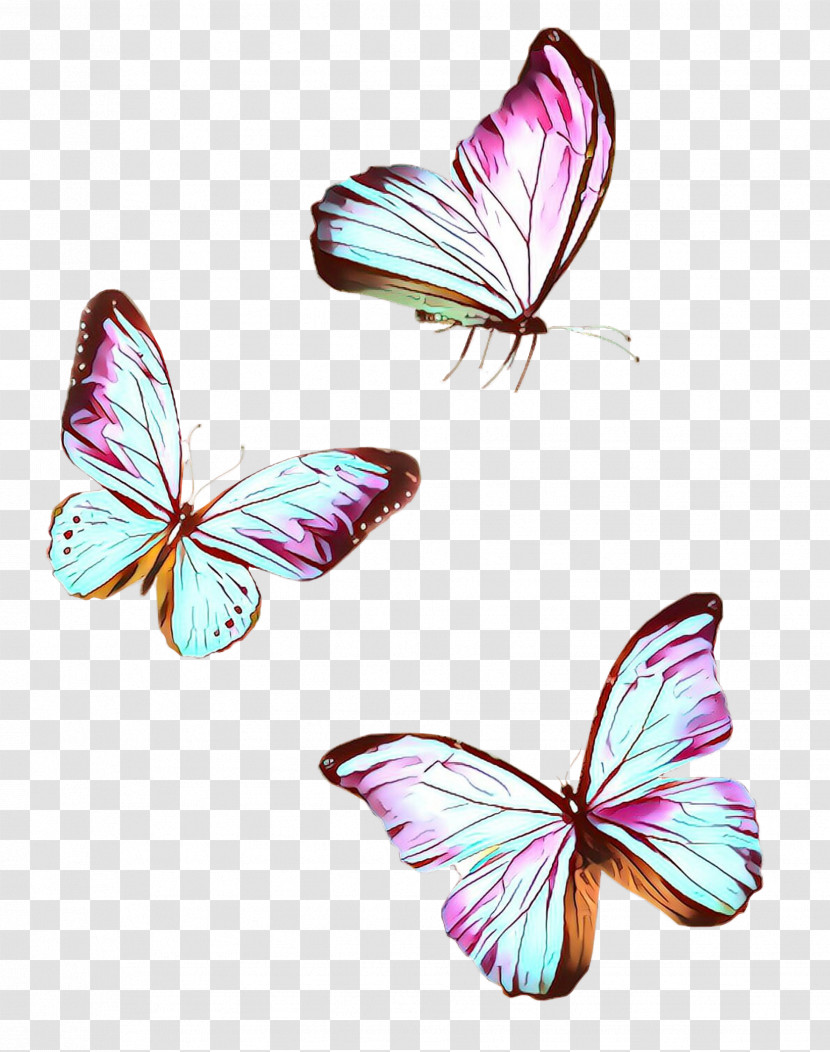 Butterfly Insect Moths And Butterflies Pink Pollinator Transparent PNG